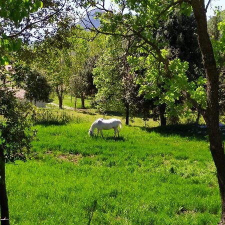 Agriturismo Colloreto Morano Calabro Exterior foto